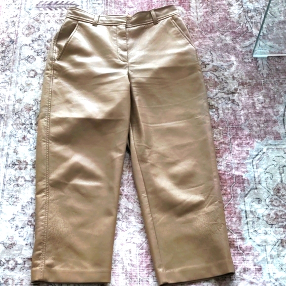 Aritzia Babaton Command vegan leather pant - Picture 2 of 5